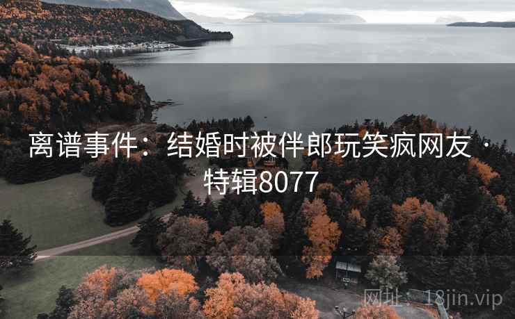 离谱事件：结婚时被伴郎玩笑疯网友 · 特辑8077