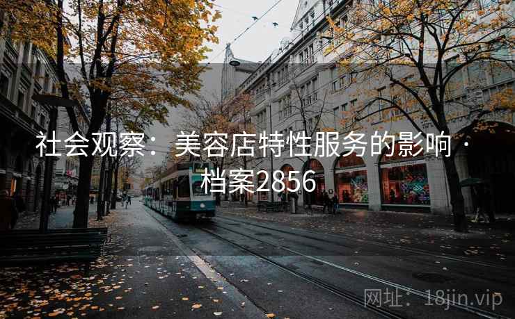 社会观察：美容店特性服务的影响 · 档案2856
